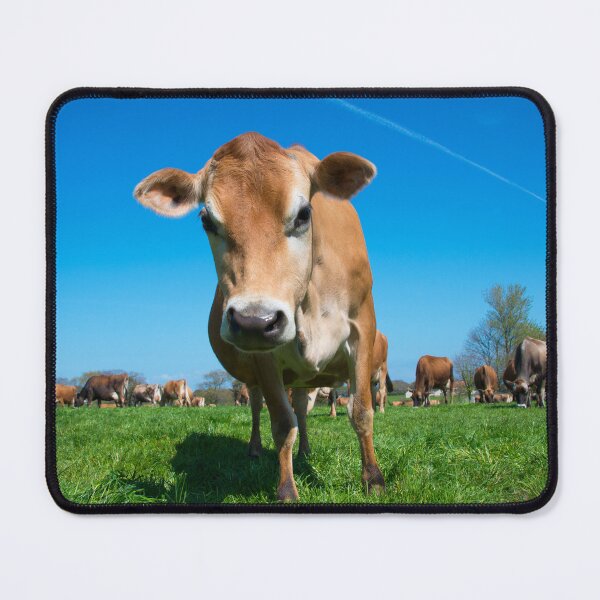 Item preview, Jersey Moo  designed and sold by hawkie.