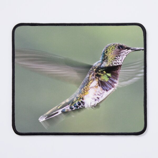 Item preview, Staying stable - Hummingbird flight designed and sold by NaturePolarized.