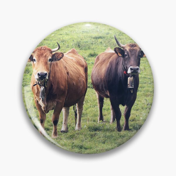 Item preview, Asturian cows from extensive farming designed and sold by Sara Sanchez PHOTO.