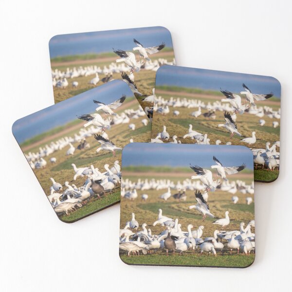 Item preview, Snow Geese Landing Hagerman National Wildlife Refuge designed and sold by PhotoArt by Joan Carroll.