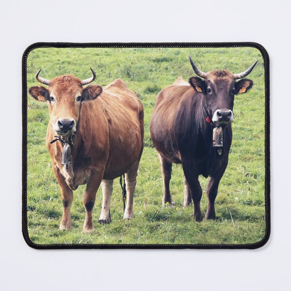 Item preview, Asturian cows from extensive farming designed and sold by Sara Sanchez PHOTO.