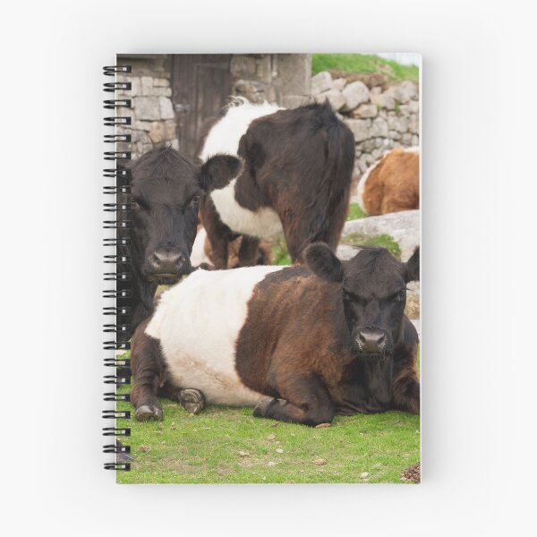 Item preview, Angry Moos  designed and sold by hawkie.