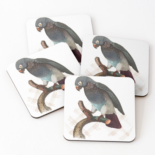 Item preview, Parakeet their home is not a cage at your home. designed and sold by Bhavna111.