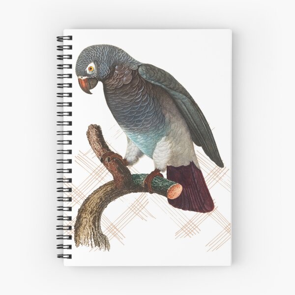 Item preview, Parakeet their home is not a cage at your home. designed and sold by Bhavna111.