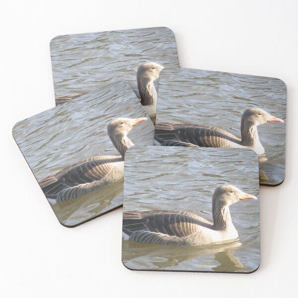 Item preview, Greylag Goose on a Sunny Lake Photograph designed and sold by naturegallery.
