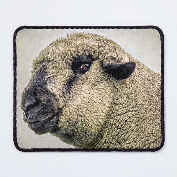 Item preview, Suspicious designed and sold by Mark Gemmell.