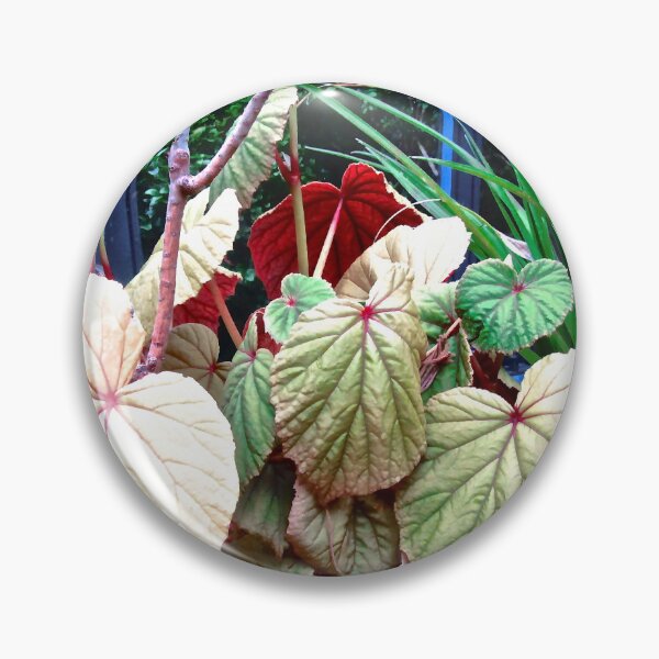 Item preview, Colourful leaves designed and sold by Shulie1.