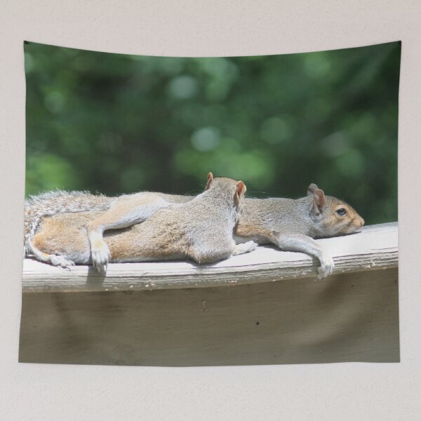 Item preview, Resting and Relaxing Sleeping squirrels designed and sold by Monika Howarth.