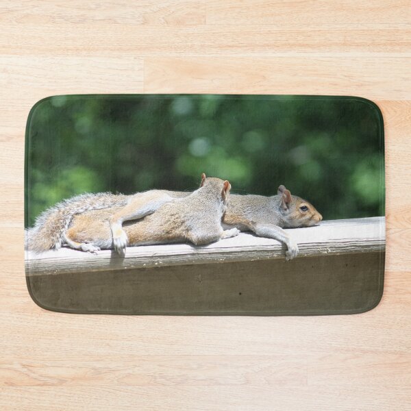 Item preview, Resting and Relaxing Sleeping squirrels designed and sold by Monika Howarth.