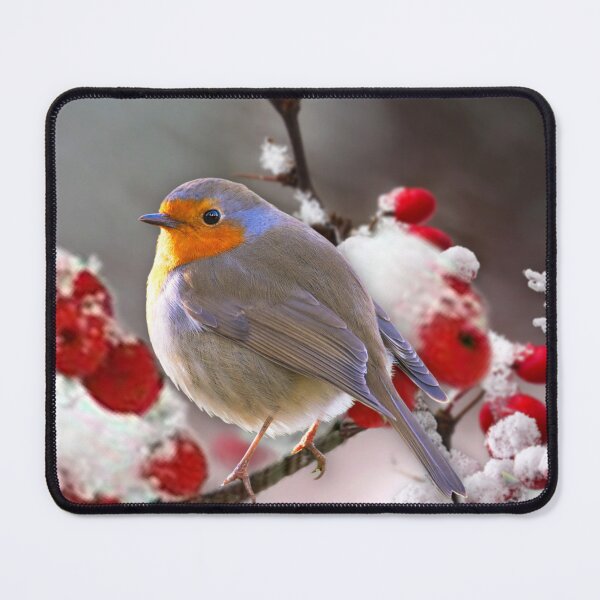 Item preview, Cute Robin, Berries & Snow designed and sold by MoragBates.