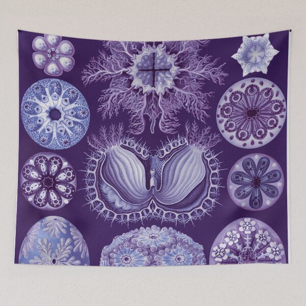 Item preview, Pantone Colour 2022 - Classic Art - Very Peri - Ernst Haeckel designed and sold by rofocreative.