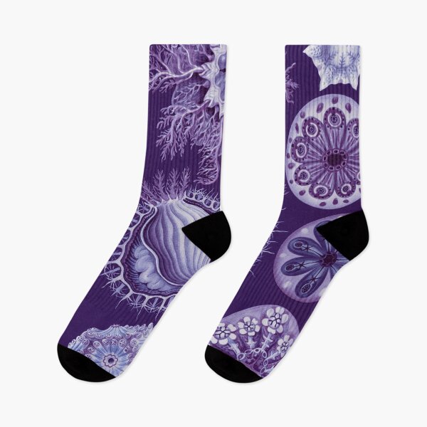 Item preview, Pantone Colour 2022 - Classic Art - Very Peri - Ernst Haeckel designed and sold by rofocreative.