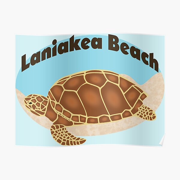 "Laniakea Beach Turtle" Poster for Sale by KeeganCreations Redbubble