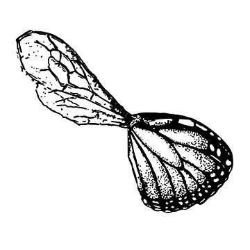 Artwork thumbnail, Bee & Butterfly Wings by OBowserDesigns
