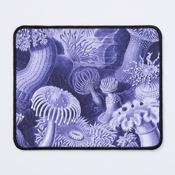 Item preview, Pantone Colour 2022 - Classic Art - Very Peri - Ernst Haeckel designed and sold by rofocreative.