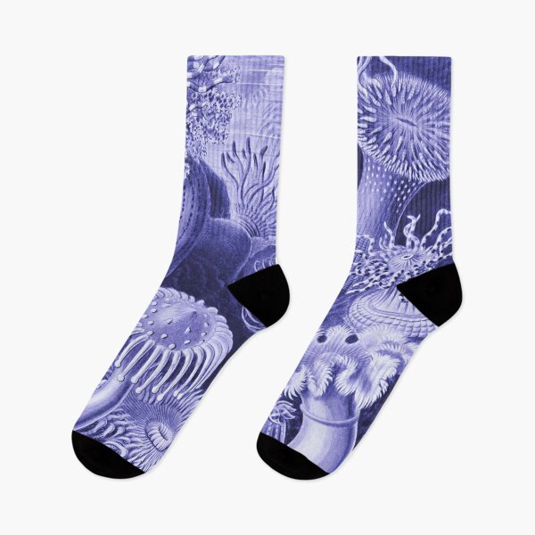 Item preview, Pantone Colour 2022 - Classic Art - Very Peri - Ernst Haeckel designed and sold by rofocreative.