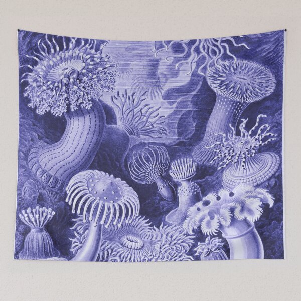 Item preview, Pantone Colour 2022 - Classic Art - Very Peri - Ernst Haeckel designed and sold by rofocreative.