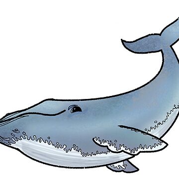 Artwork thumbnail, Blue Whale by OBowserDesigns