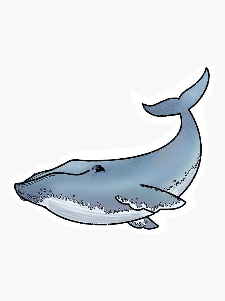 Thumbnail 3 of 3, Sticker, Blue Whale designed and sold by OBowserDesigns.