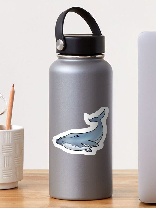 Thumbnail 1 of 3, Sticker, Blue Whale designed and sold by OBowserDesigns.