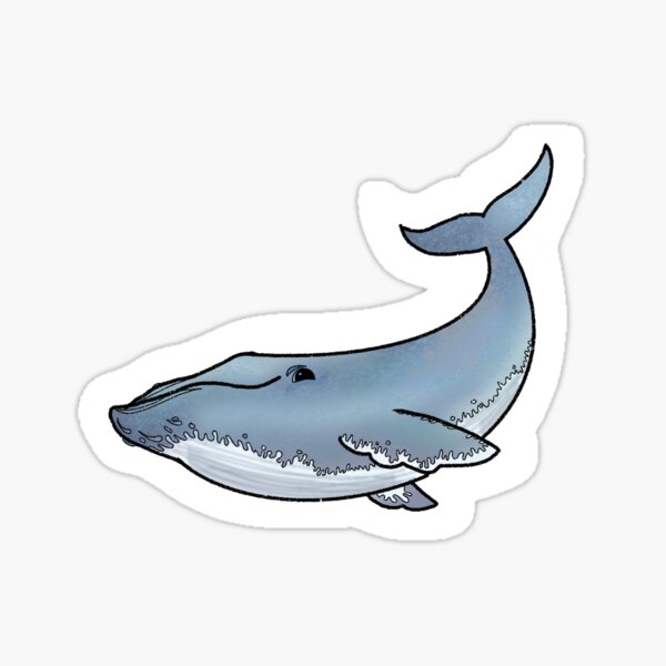 Blue Whale Sticker
