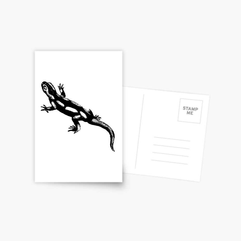 Item preview, Postcard designed and sold by OBowserDesigns.