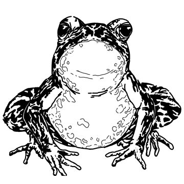 Artwork thumbnail, American Bullfrog by OBowserDesigns