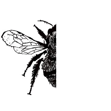 Artwork thumbnail, Bee wing by OBowserDesigns