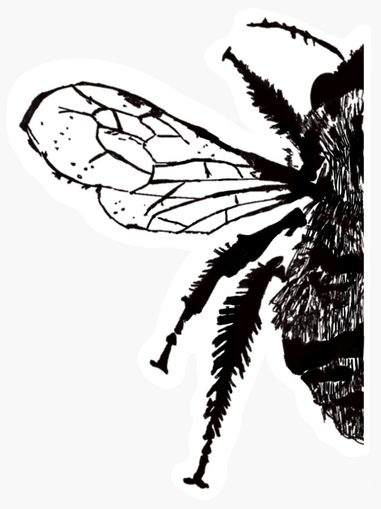 Thumbnail 3 of 3, Sticker, Bee wing designed and sold by OBowserDesigns.