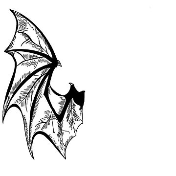 Artwork thumbnail, Bat Wing by OBowserDesigns