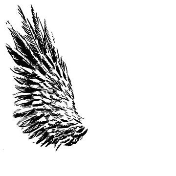 Artwork thumbnail, Bird Wing by OBowserDesigns