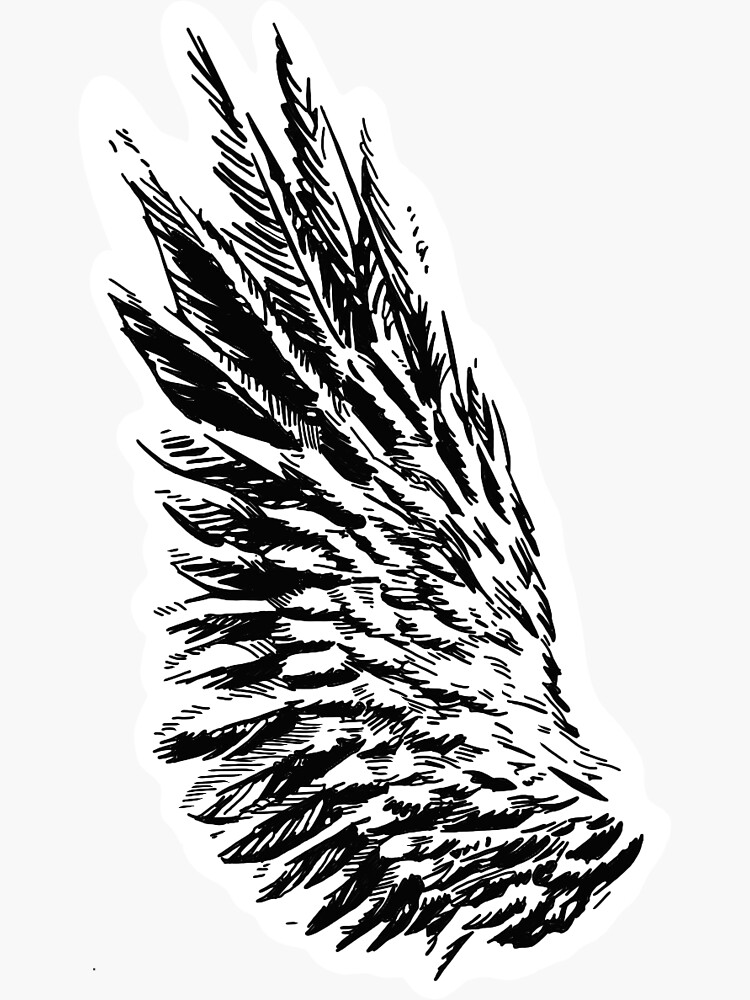 Thumbnail 3 of 3, Sticker, Bird Wing designed and sold by OBowserDesigns.