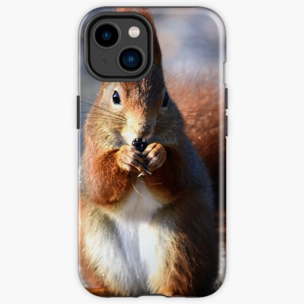 squirrel, squirrel iPhone Tough Case