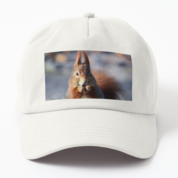 squirrel, squirrel Dad Hat