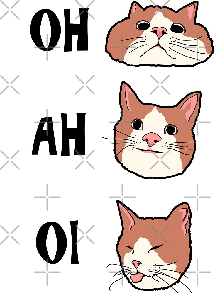Oh Ah Oi Viral Tik Tok Trend - Funny Cat Meme