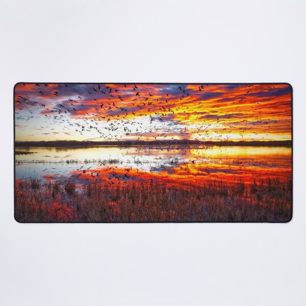 Item preview, Snow Geese at Sunrise Bosque Del Apache National Wildlife Refuge designed and sold by Rocky Mountain Artistry.