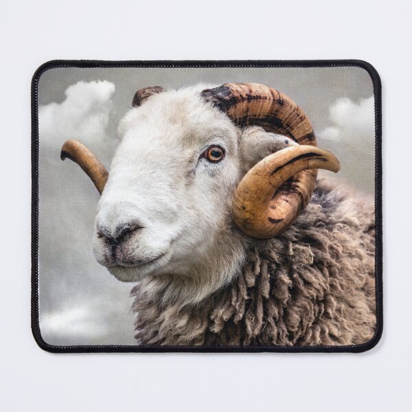 Item preview, Smug designed and sold by Mark Gemmell.