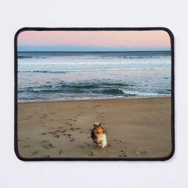 Artikelvorschau, Hund, der auf Strand-Foto spielt entworfen und verkauft von kaitleenm.