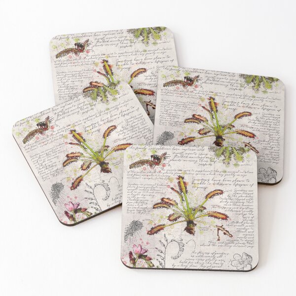 Item preview, Sundew Plant Botanical Poster designed and sold by Elvenwings.