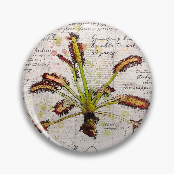Item preview, Sundew Plant Botanical Poster designed and sold by Elvenwings.