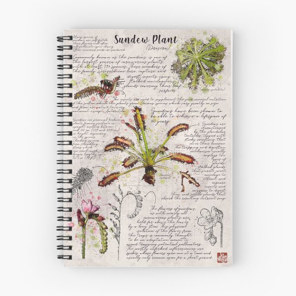Item preview, Sundew Plant Botanical Poster designed and sold by Elvenwings.
