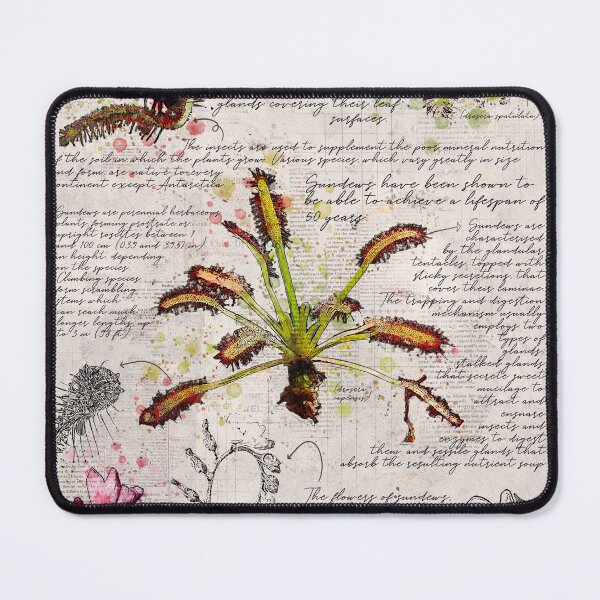 Item preview, Sundew Plant Botanical Poster designed and sold by Elvenwings.