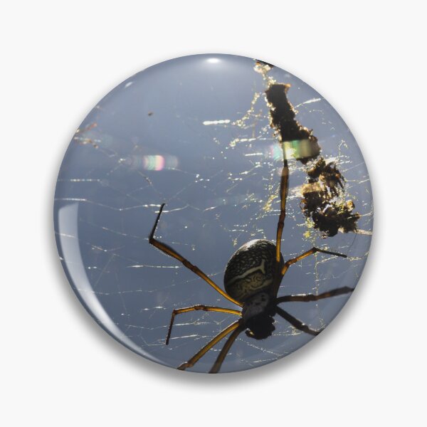 Item preview, spiders in the web 2. designed and sold by Nino rocha fotografia.