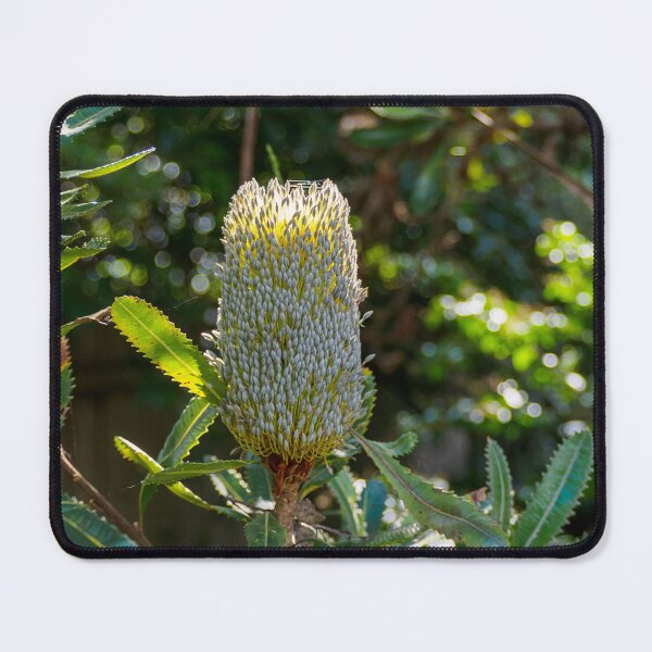 Item preview, Australian Native Flower designed and sold by MarkFoleyPhoto.