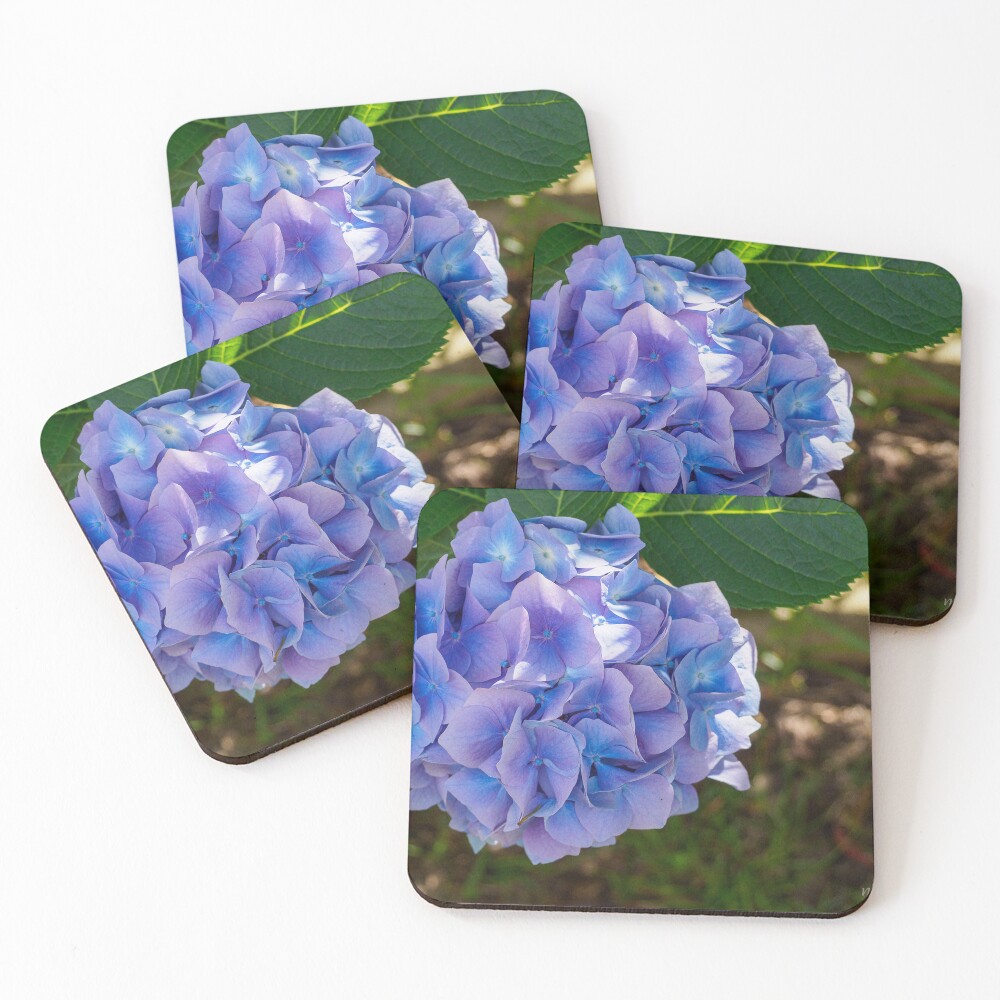 Item preview, Coasters (Set of 4) designed and sold by MarkFoleyPhoto.