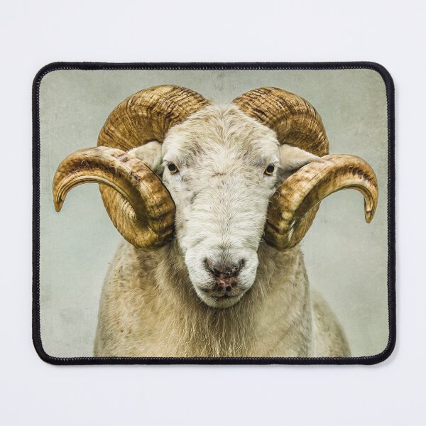 Item preview, Ram 1 designed and sold by Mark Gemmell.