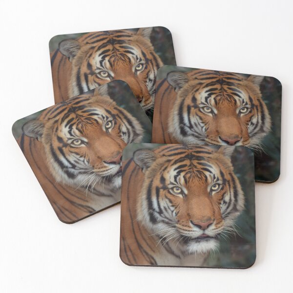 Item preview, Powerful Malayan Tiger  designed and sold by Savannah Gibbs.