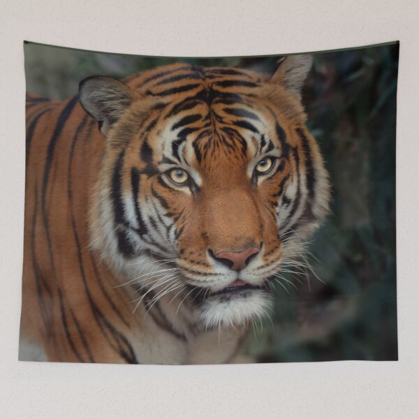 Item preview, Powerful Malayan Tiger  designed and sold by Savannah Gibbs.