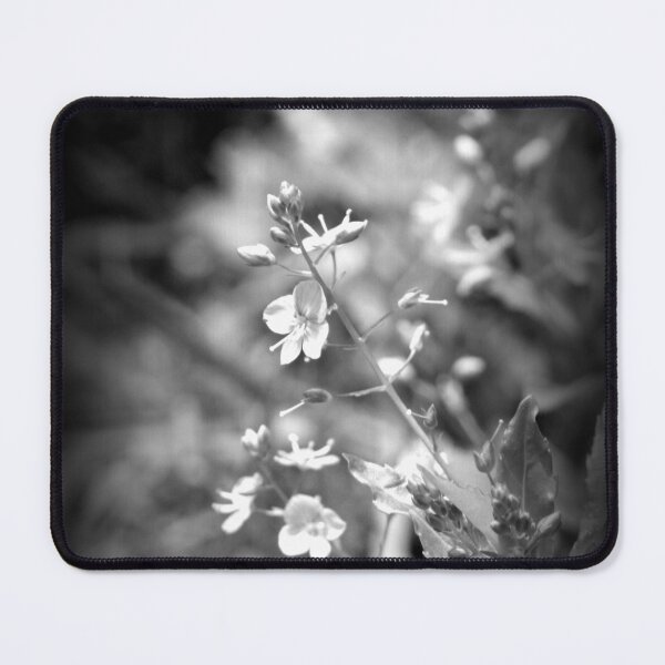 Item preview, Speedwell wildflowers, black and white designed and sold by Dawna Morton.