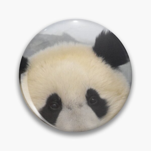 Item preview, Giant Panda Xiao Qi Ji at the National Zoo designed and sold by Zoo and Nature Photography by Karie.